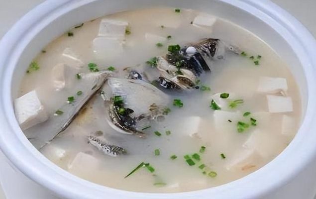 老年人吃什么鱼最营养（老年人吃什么鱼好?）