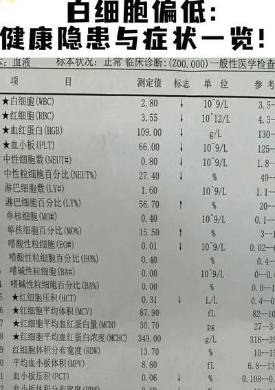 白细胞偏低是什么意思（白细胞偏低是什么意思?）