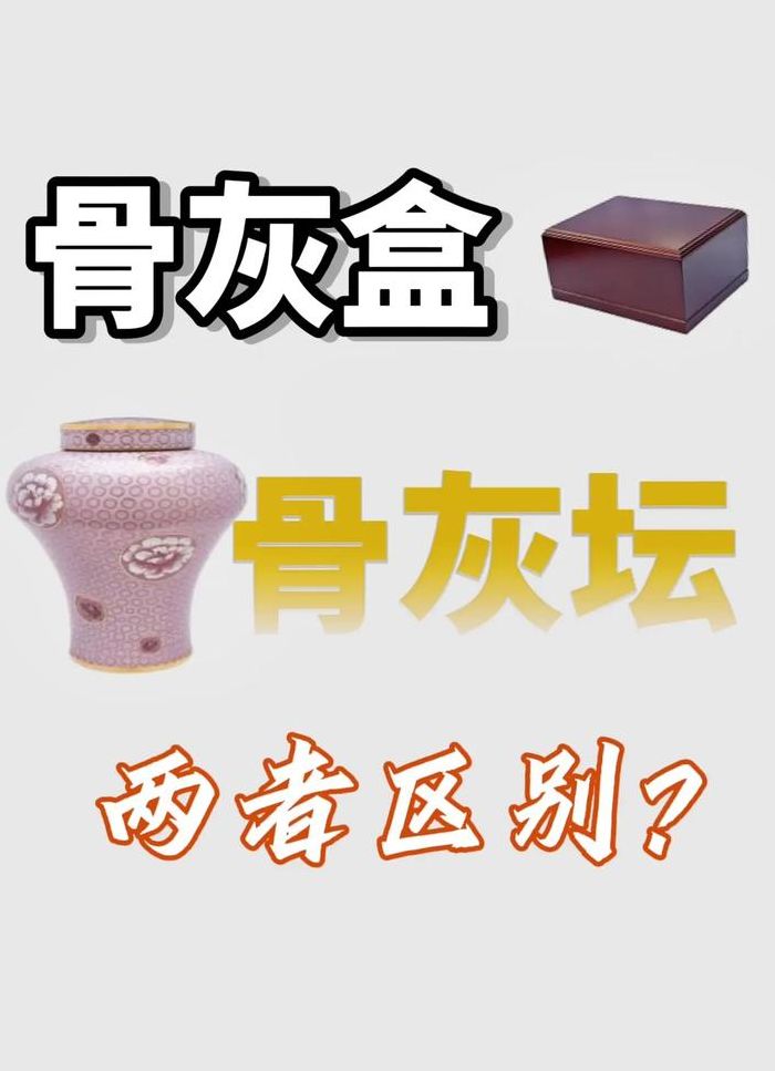 骨灰粉是什么粉丝（骨粉和骨灰的区别）
