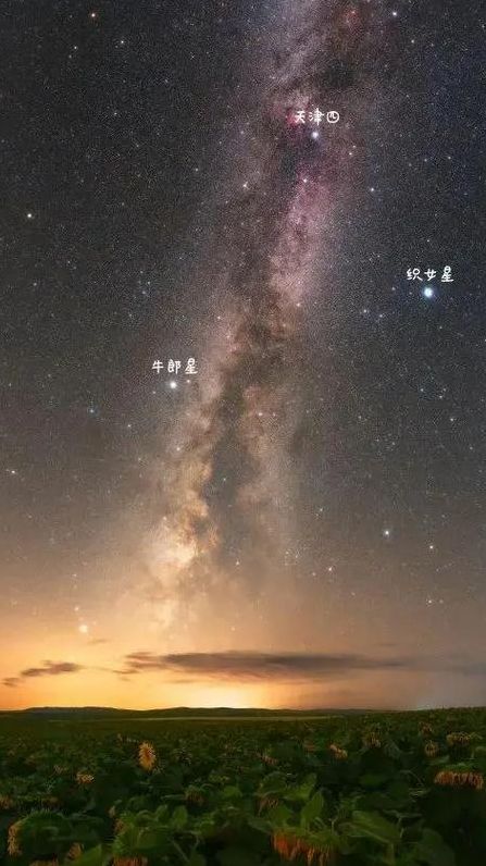 牛郎对应什么星座（牛郎属于什么星座）