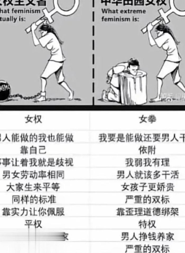 女拳运动的本质是什么（女拳运动的本质是什么意思）