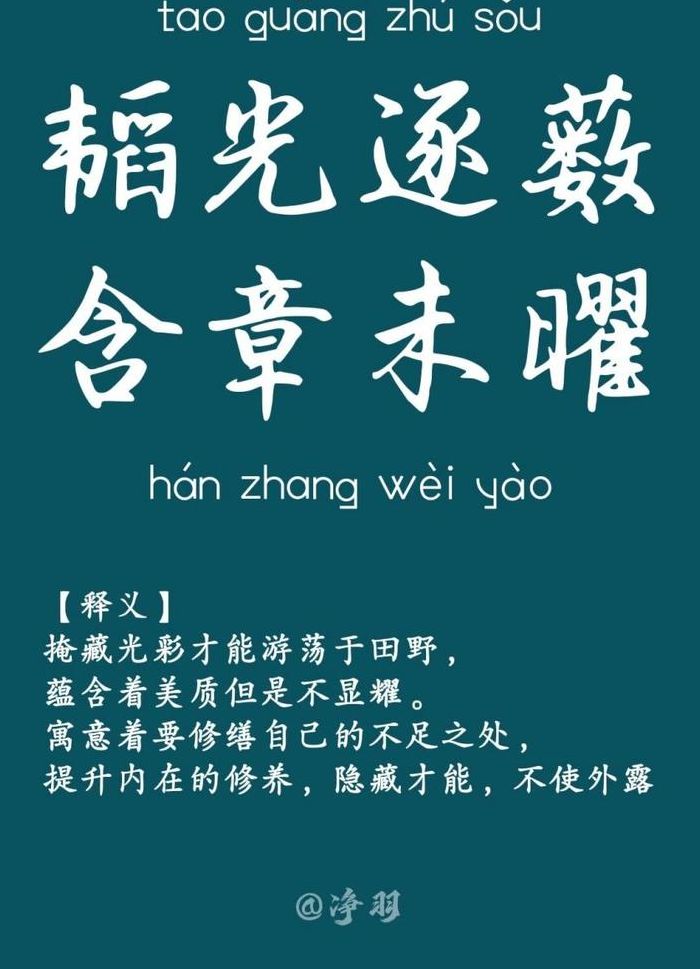 韬光养晦下一句是什么（韬光养晦,厚积薄发是什么意思）