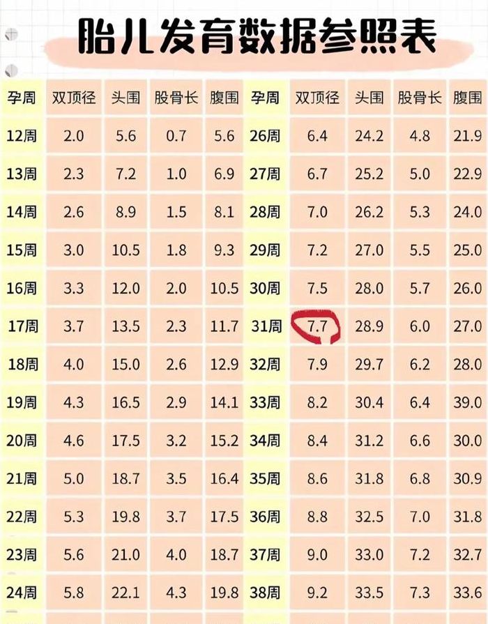 双顶径是什么意思啊（请问双顶径是什么意思）