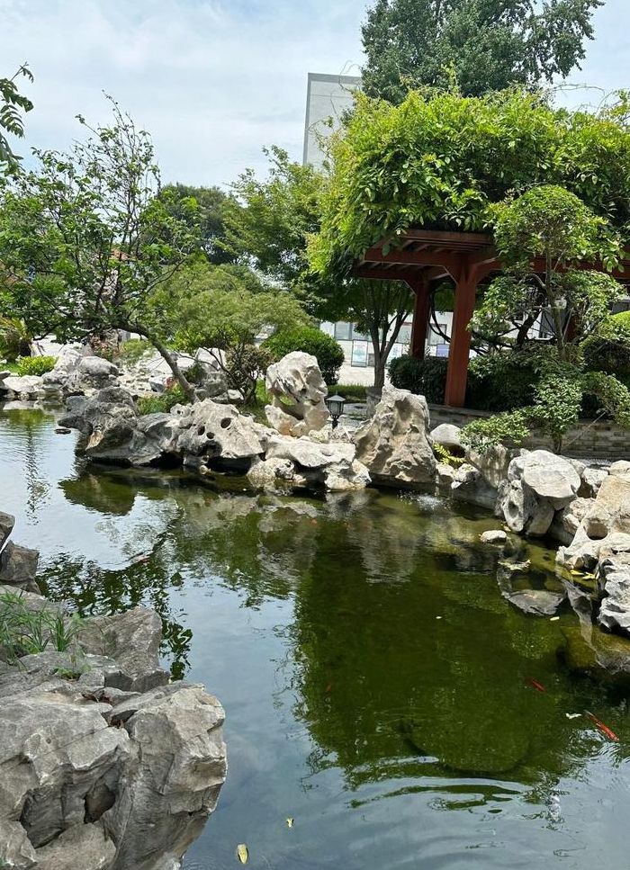 苏州市第十六中学（苏州市第十六中学校长）