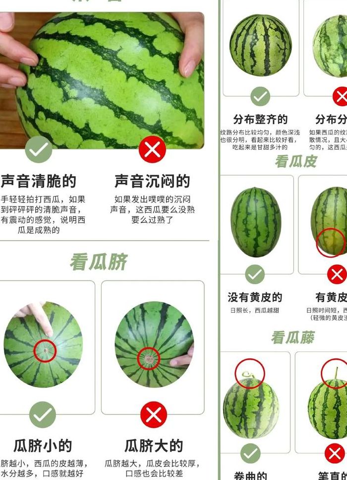 西瓜要怎么挑才甜（西瓜怎么样挑才甜）