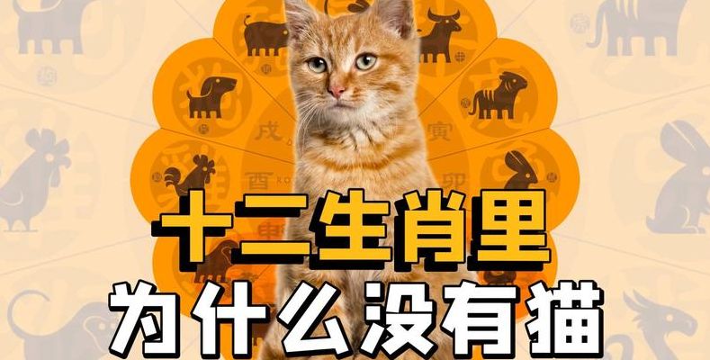 为什么猫没在十二生肖之内（为什么猫没在十二生肖之内出现）