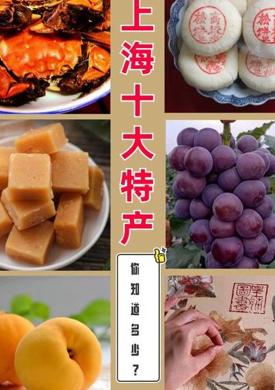 上海最有名的特产是什么（上海的十大特产）