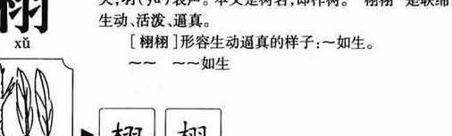栩怎么读音是什么意思（栩怎么读音是什么意思和含义）