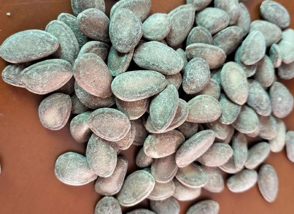 瓜蒌子是什么果实的种子（瓜蒌子是什么瓜的种子）