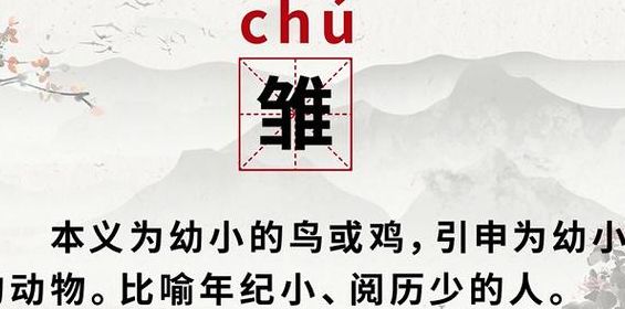 雏怎么读?什么意思（雏这个读什么）
