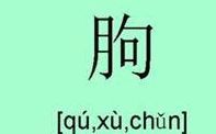 朐字怎么念什么意思（临朐怎么读）