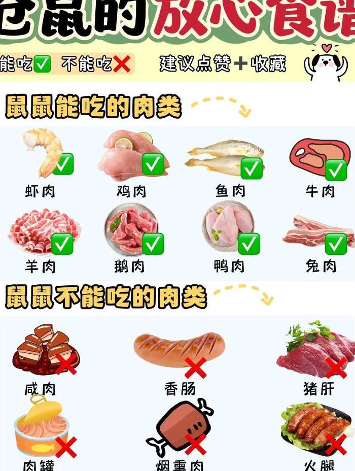 金丝熊最爱吃的10种食物（杀金丝熊视频）