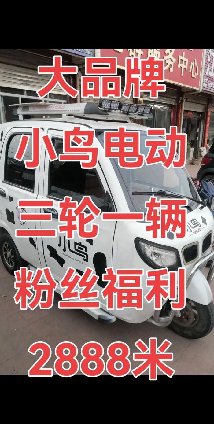 小鸟电动车排第几名（小鸟电动车质量排名）