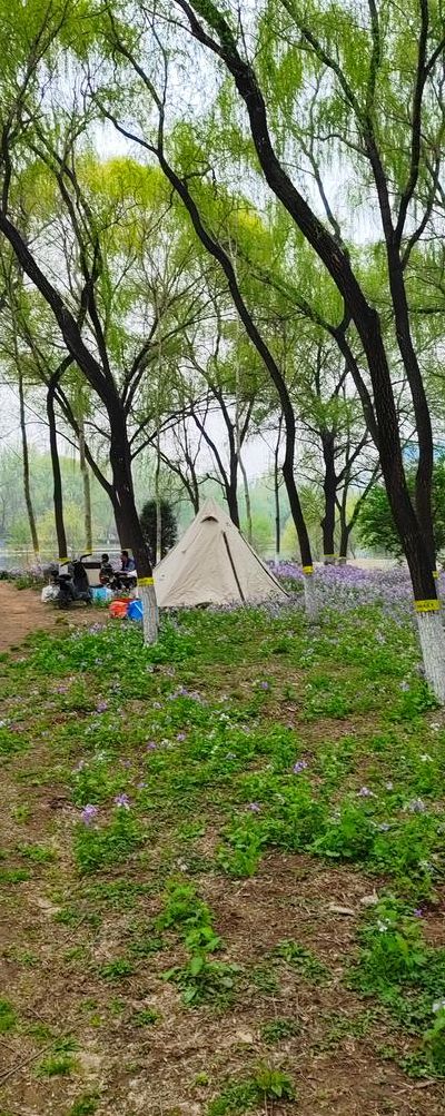 滤滹沱河怎么读（滹沱河属于哪个市）