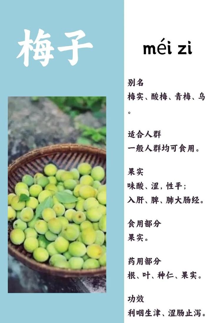 梅子什么时候熟（梅子一般什么时间成熟）