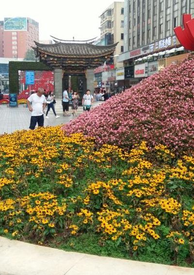 昆明为什么叫花城（昆明为什么叫花城之城）