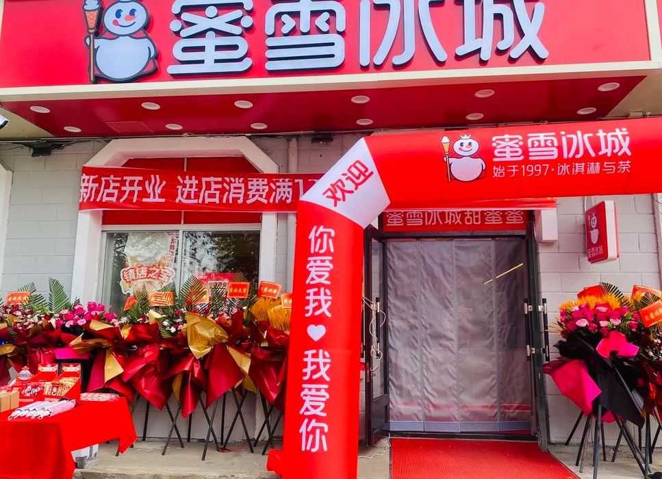 最火加盟店排行榜前十名（最火加盟店排行榜前十名 蜜雪冰城）