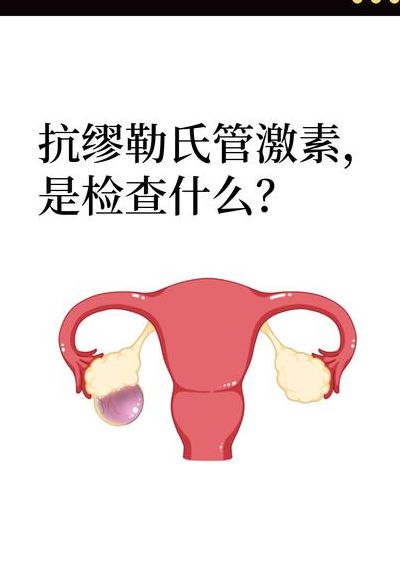 抗缪勒氏管激素怎么读（抗缪勒氏管激素003是什么意思）