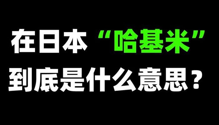 哈吉米日语啥意思（哈米吉都有这个牌子吗）