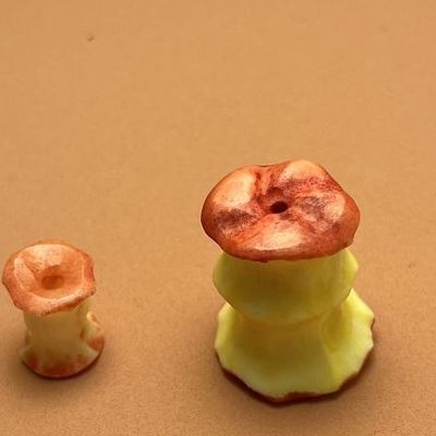 苹果核源（苹果核核是什么意思）