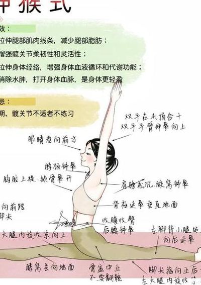 劈叉的好处（劈叉对身体有好处吗）