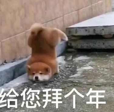 给您拜年了表情包（给您拜年了表情包搞笑）
