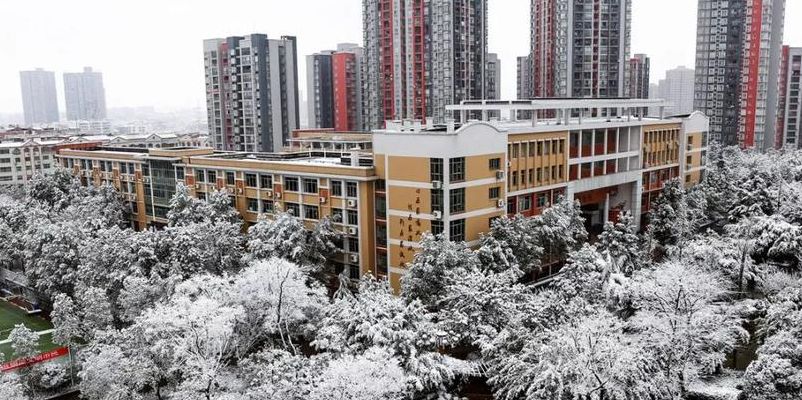 重庆市巴川中学（重庆市巴川中学校）