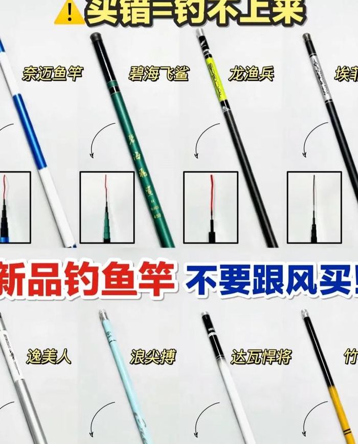 电子钓鱼竿（电子钓鱼竿是什么东西）