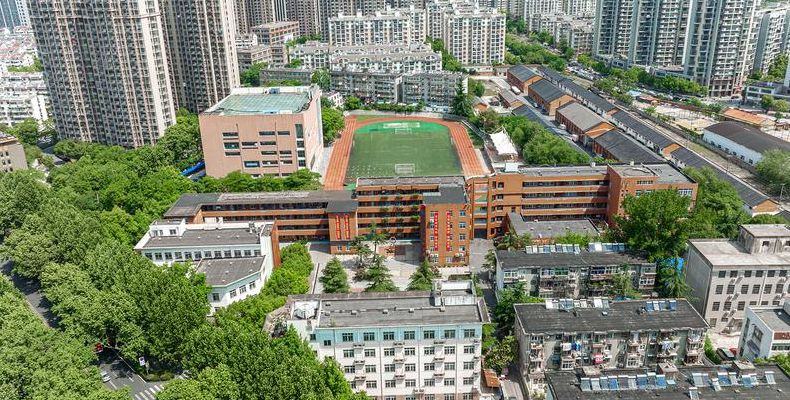 合肥市庐阳高级中学（合肥市庐阳高级中学地址）