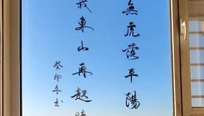 待我东山再起时（谁无虎落平阳日, 待我东山再起时）