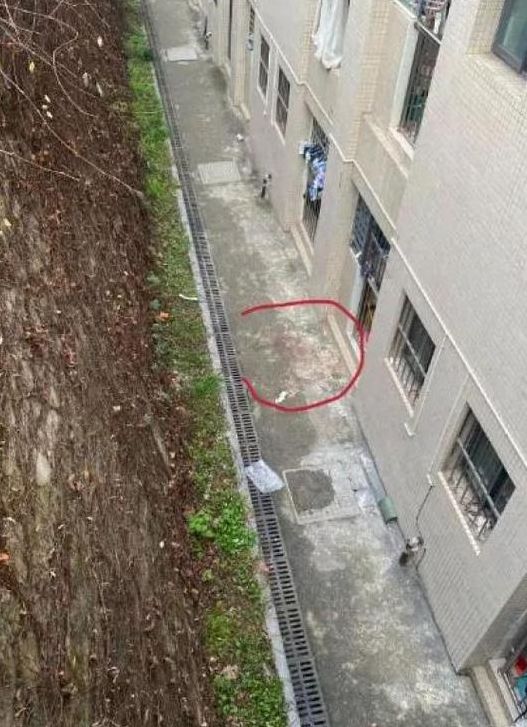 大学栏杆突然断裂（大学生栏杆断裂）