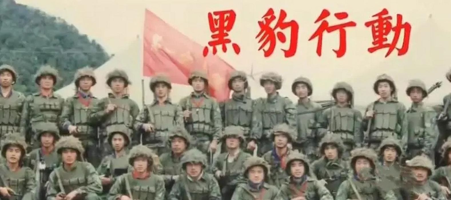 黑豹突击队（黑豹突击队1987年电视剧）
