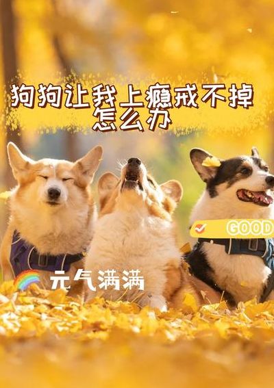 被自己家的狗上感受（被自己家狗上瘾了小说）