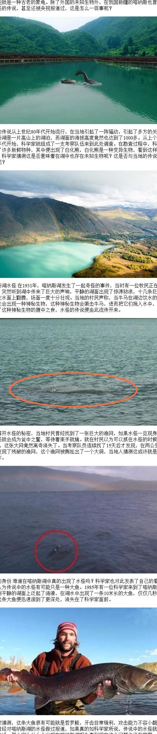 喀纳斯湖水怪真相（喀纳斯湖水怪现身）