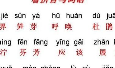偎的拼音和组词（偎的拼音和组词组部首是什么）
