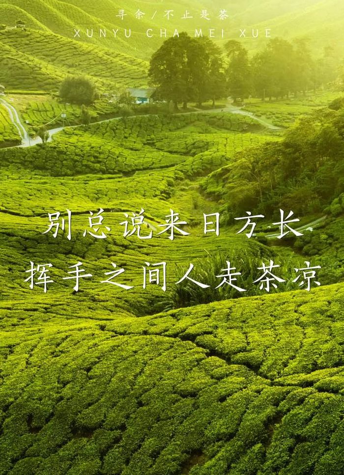 人走茶凉的意思（人走茶凉的意思是怎么比喻人的）