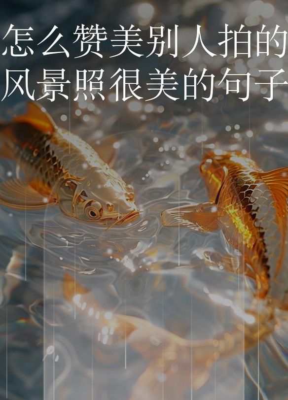 摄影佳作（摄影佳作的赞美之词）