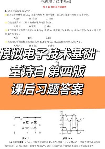 软件技术基础教程（软件技术基础课后答案）
