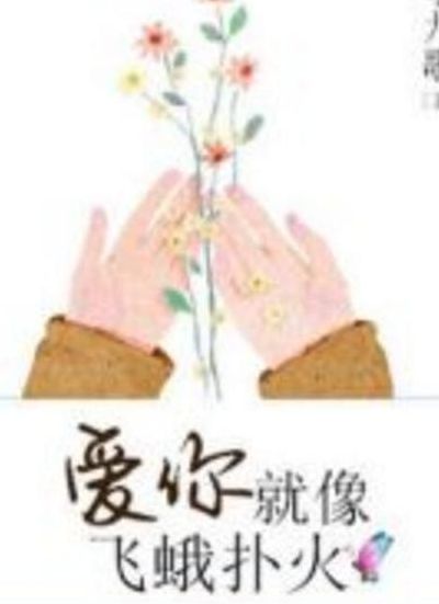 你知不知道我爱你就像飞蛾扑火（你知不知道我爱你就像飞蛾扑火歌名）
