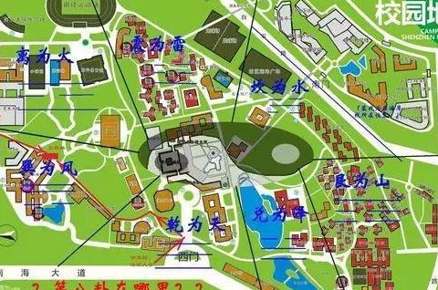 深圳大学八卦图（深圳大学八卦图大全）