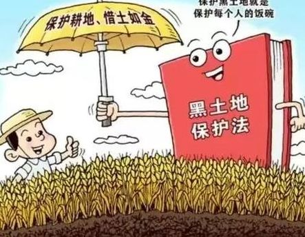 黑土地告急事关14亿人的饭碗（黑土地政策）