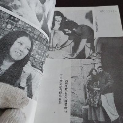 三毛之死（三毛之死真相）