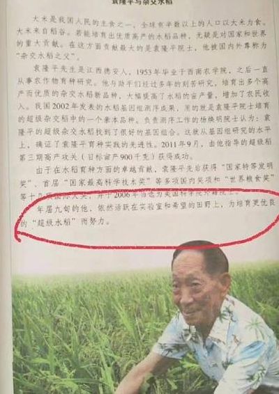 国际对袁隆平的评价（国际上对袁隆平的评价）