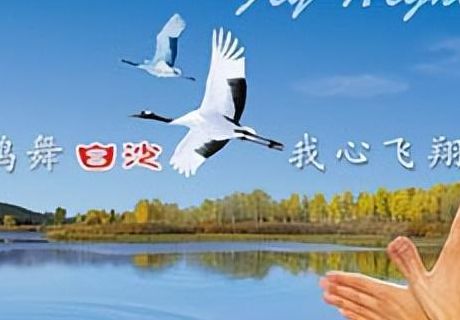鹤舞白沙我心飞翔（鹤舞白沙我心飞翔是什么意思）