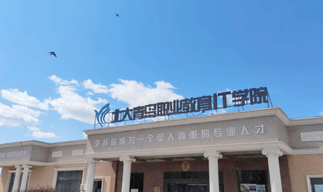 江西北大青鸟（江西北大青鸟学校叫什么名字）