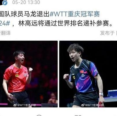 马龙被罚分（马龙被打110）