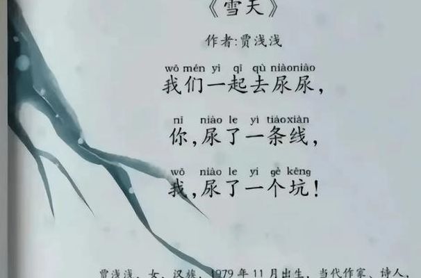 贾浅浅的诗歌引质疑（贾浅浅诗歌事件继续发酵）