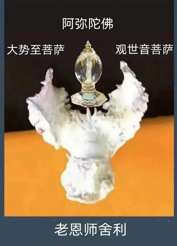 净空老法师圆寂2022年（净空老法师近况视频）