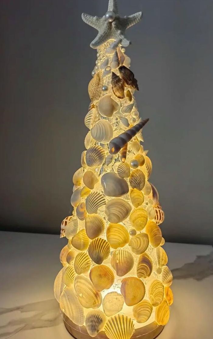 用贝壳做简易手工艺品（用贝壳做简易手工艺品 做什么）