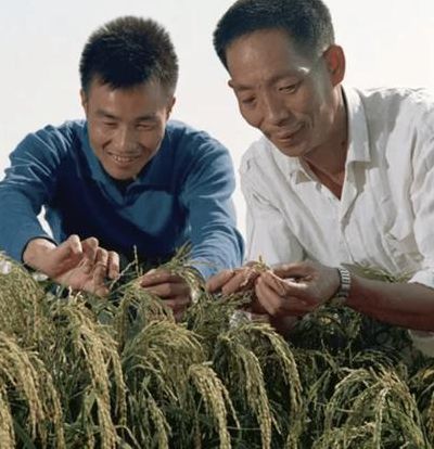 袁隆平在国际上真实地位（袁隆平在世界的地位）